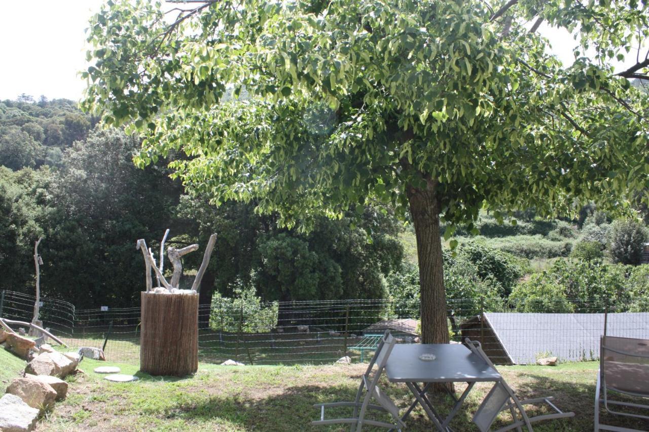 A Cardiccia Loc Saisonnieres Piana Apartment เพียนา ภายนอก รูปภาพ