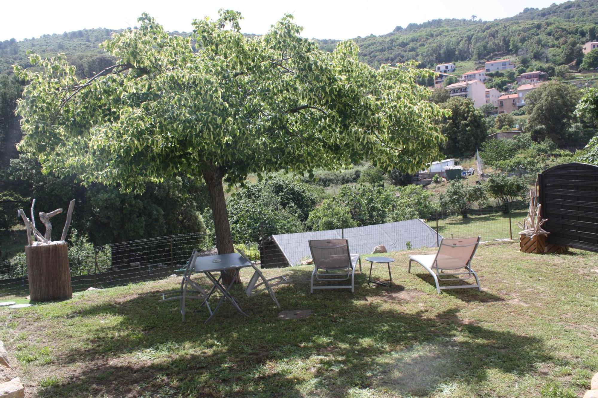 A Cardiccia Loc Saisonnieres Piana Apartment เพียนา ภายนอก รูปภาพ