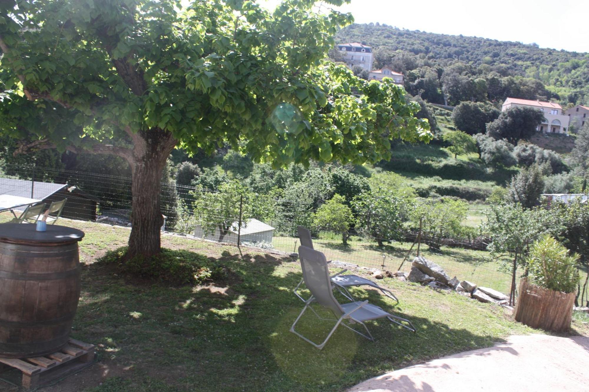 A Cardiccia Loc Saisonnieres Piana Apartment เพียนา ภายนอก รูปภาพ