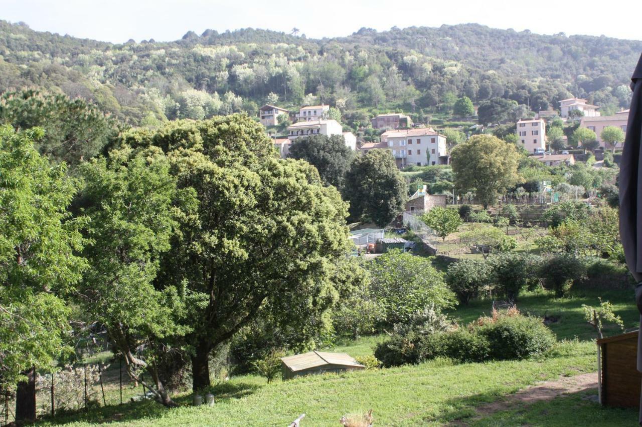 A Cardiccia Loc Saisonnieres Piana Apartment เพียนา ภายนอก รูปภาพ